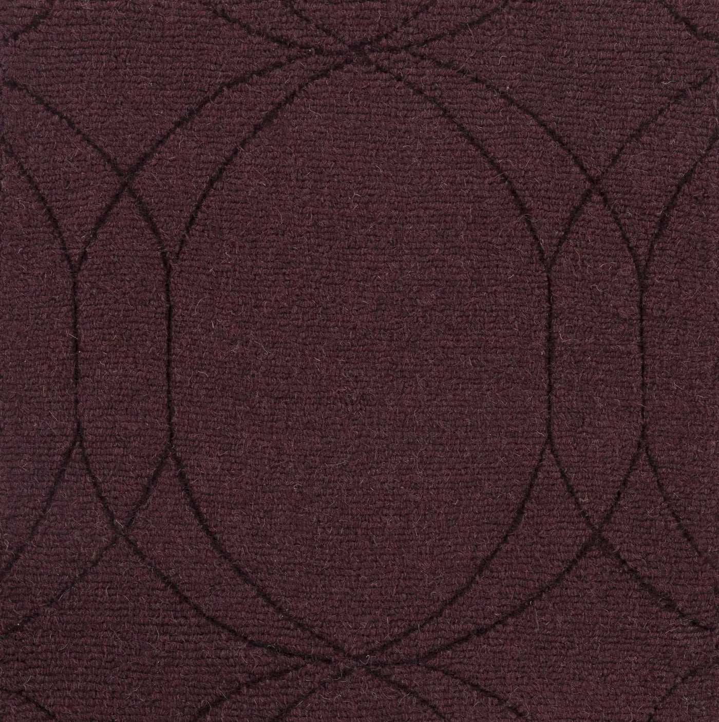 Fintona Area Rug - Clearance by Boutique Rugs