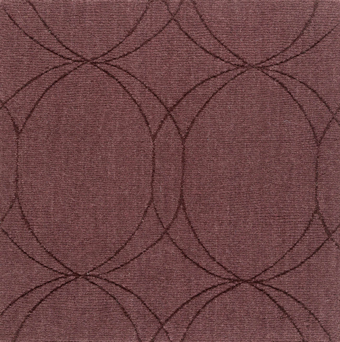 Fintona Area Rug - Clearance by Boutique Rugs