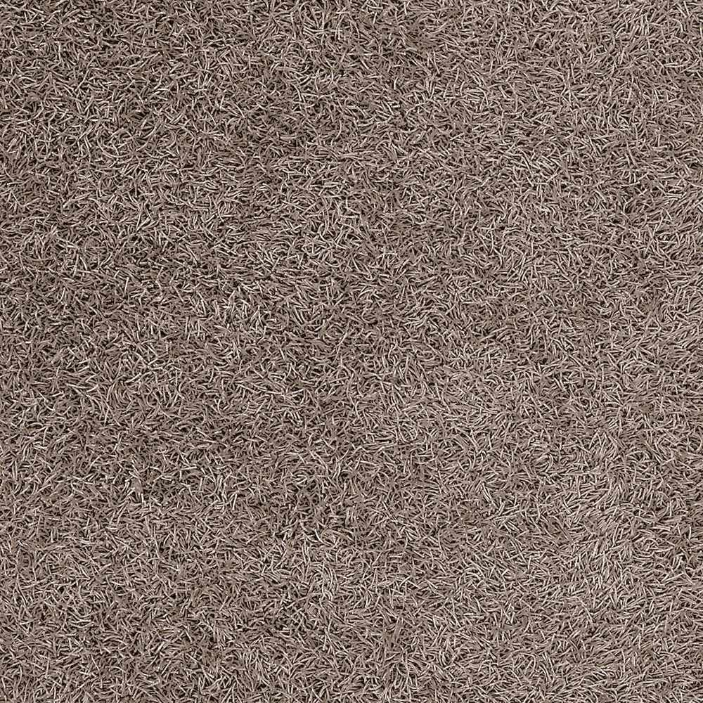 Browder Solid Brown Shag Rug - Clearance by Boutique Rugs