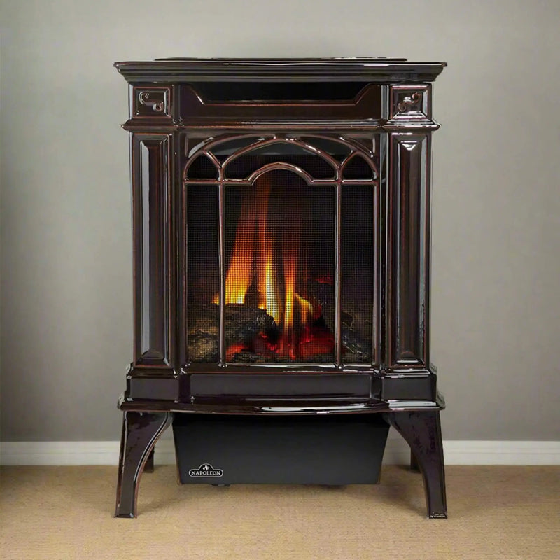 Napoleon Arlington 20 19-Inch Cast Iron Millivolt Ignition Majolica Brown Natural Gas Stove [GDS20NNSB] (SAK43798) by SAKSBY WHOLESALE