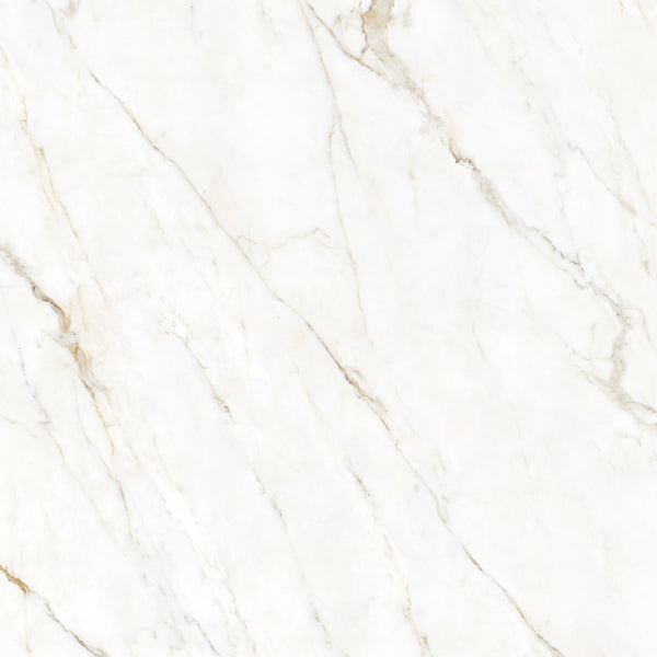 Forty8 Calacatta Oro Honed Marble Look Porcelain Tiles 48x48