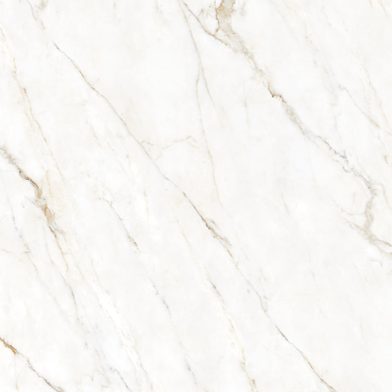 Forty8 Calacatta Oro Polished Marble Look Porcelain Tiles 24x48 close up