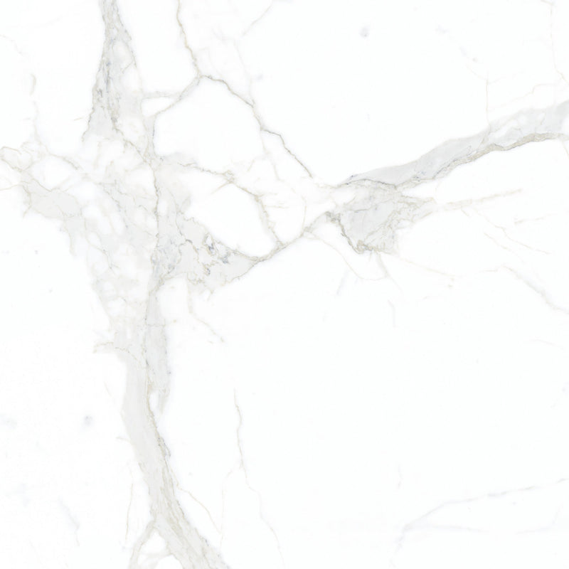 Forty8 Calacatta Super White Honed Marble Look Porcelain Tiles 24x48 close up