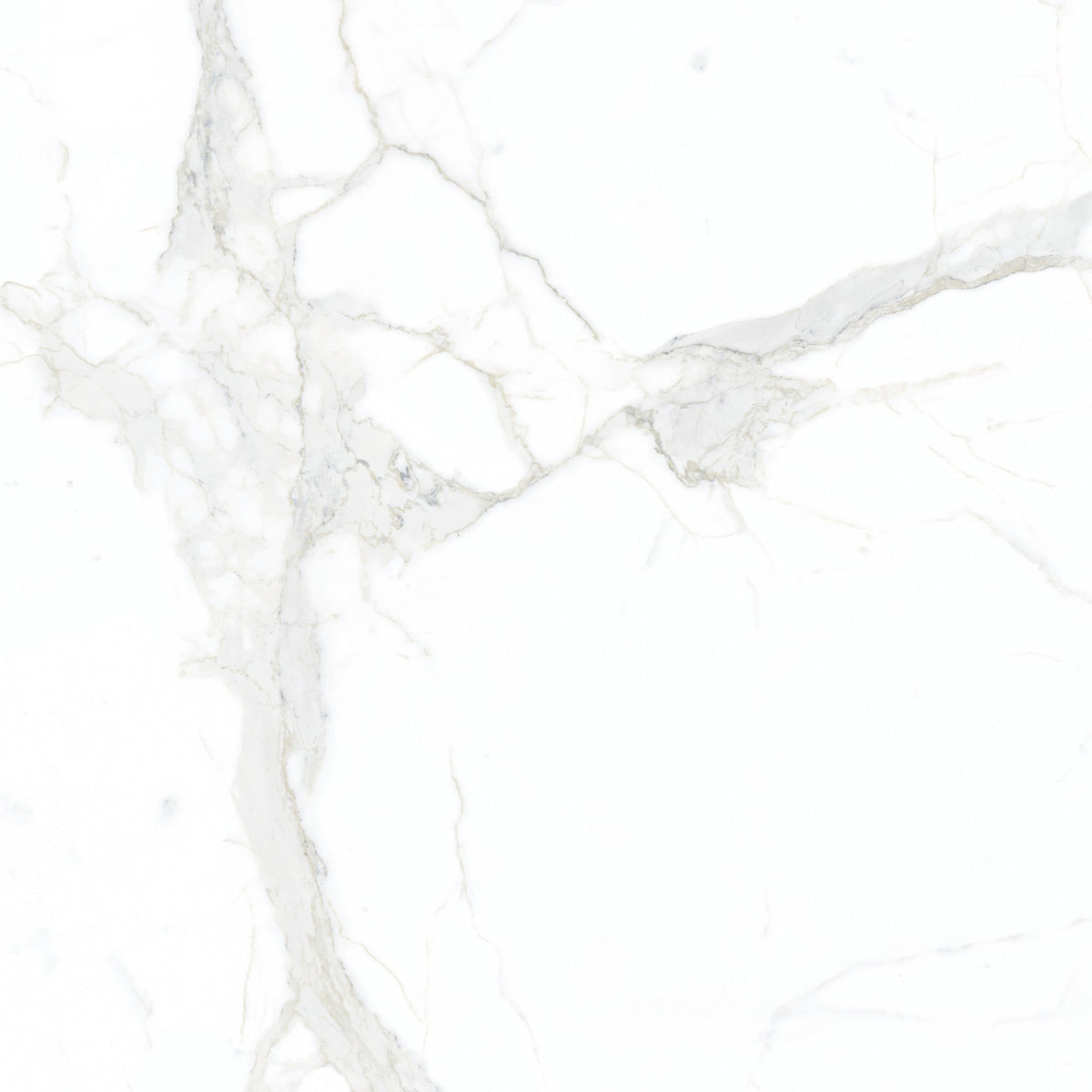 Forty8 Calacatta Super White Honed Marble Look Porcelain Tiles 48x48 close up