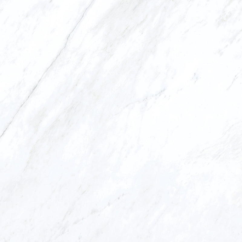 Forty8 Luxe White Honed Marble Look Porcelain Tiles 24x48 close up