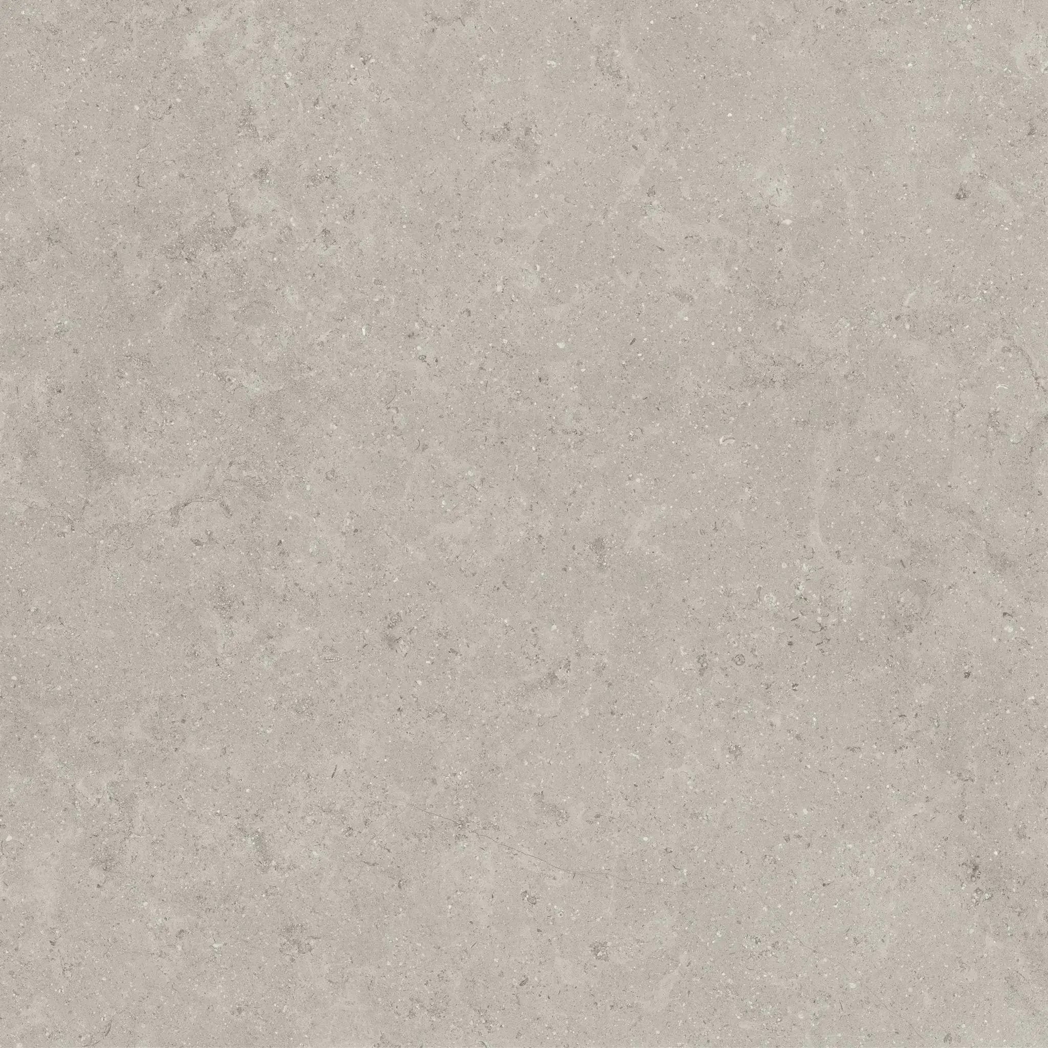 Frontier20 Ash Coping & Stair Tread Bullnose Limestone Look Porcelain Moldings 12x24 by landmarkceramics