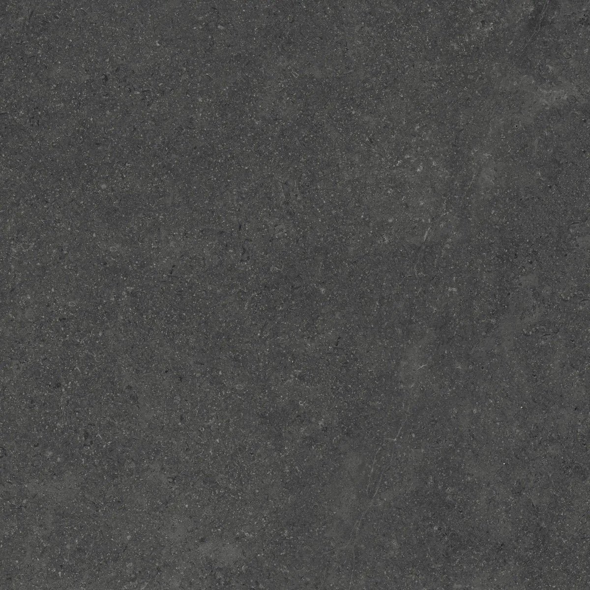 Frontier20 Charcoal Coping & Stair Trear Corner Left Limestone Look Porcelain Moldings 12x24 by landmarkceramics