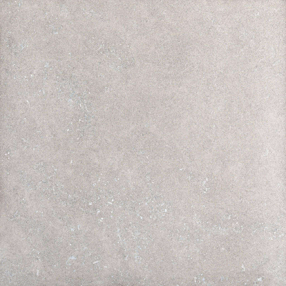 Frontier20 Indiana Variegated Limestone Look Porcelain Pavers 12x12 by landmarkceramics