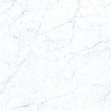 Frontier20 Michelangelo Extra White Marble Look Porcelain Pavers 12x12