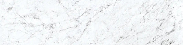 Frontier20 Michelangelo Extra White Coping & Stair Bullnose Marble Look Porcelain Moldings 12x48