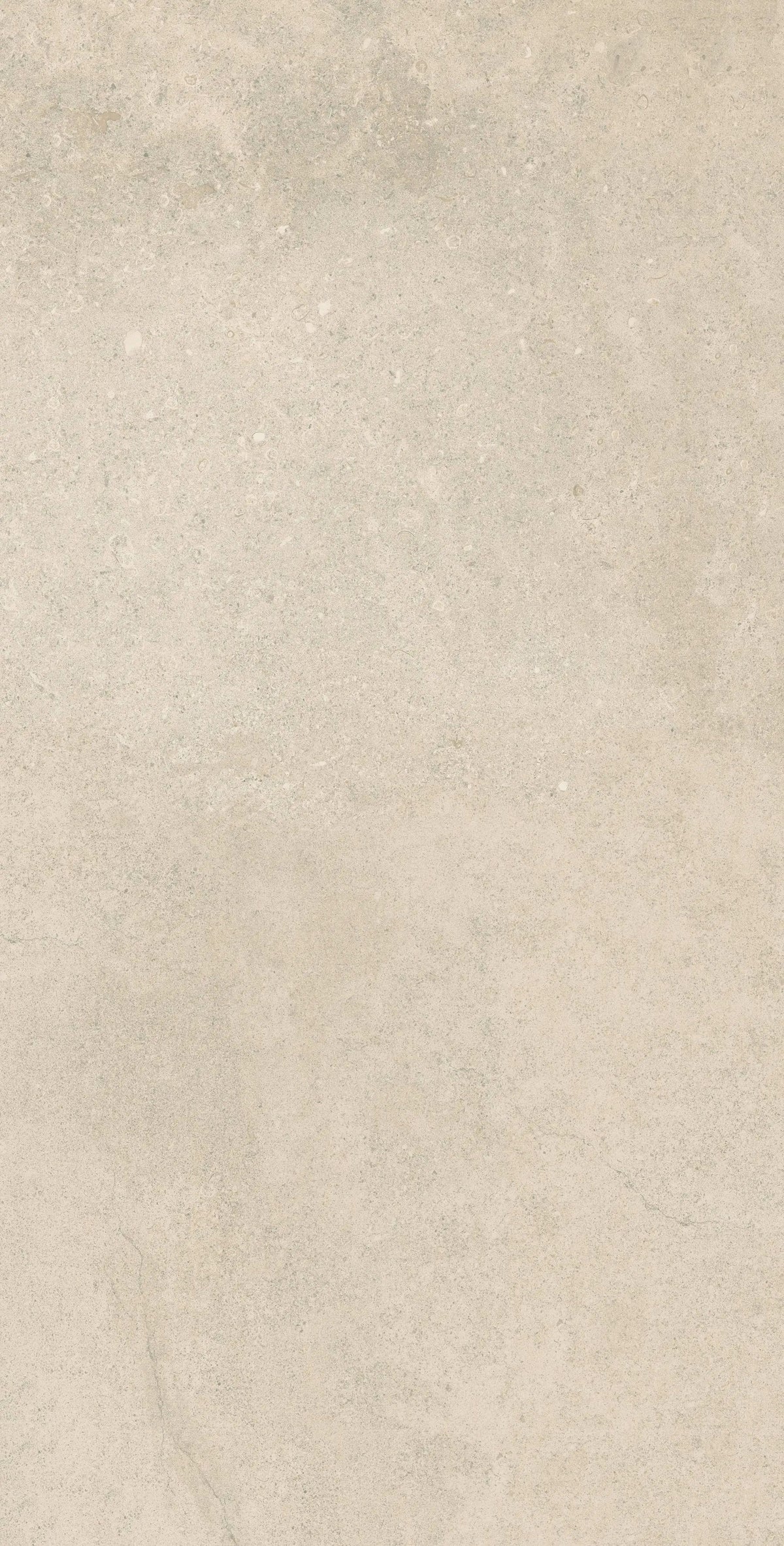 Frontier20 Sand Limestone Look Porcelain Pavers 24x48 by landmarkceramics