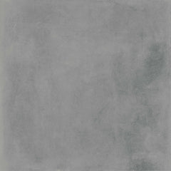 Gray Matte
