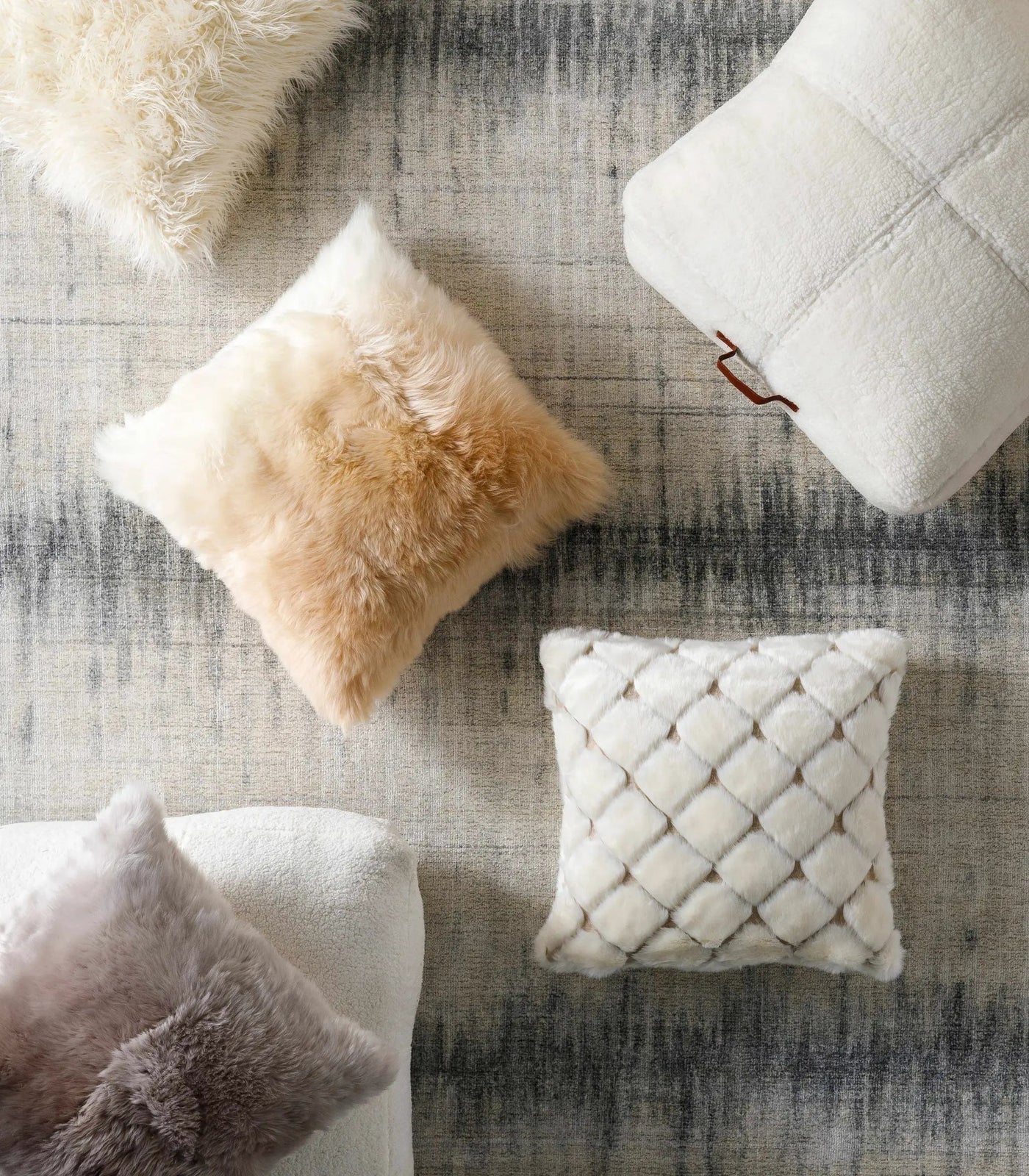 Dava Area Rug - Clearance by Boutique Rugs