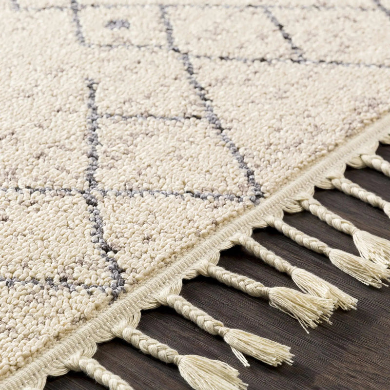Furman Area Rug - Clearance by Boutique Rugs
