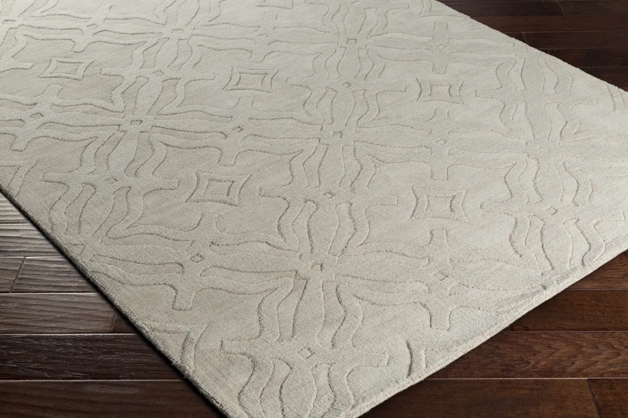 Fyffe Embossed Beige Wool Area Rug by Boutique Rugs