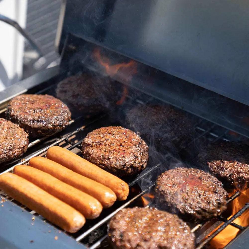 G22 | Stainless Tabletop Propane Gas Grill by Monument Grills