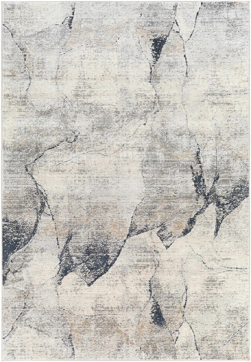 Gasquet Gray Marble Textured Luxe Rug by Boutique Rugs