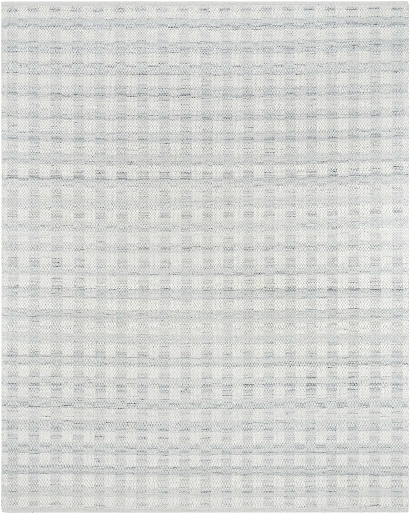 Garth Light Slate Area Rug by Boutique Rugs