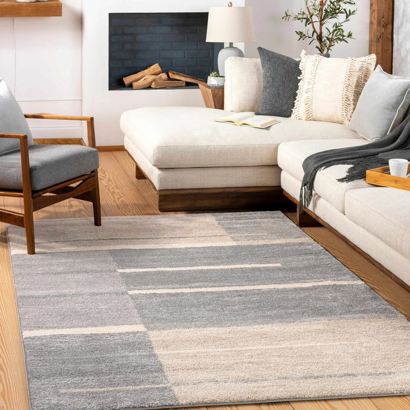 Glouster Taupe&Gray Lined Area Rug by Boutique Rugs