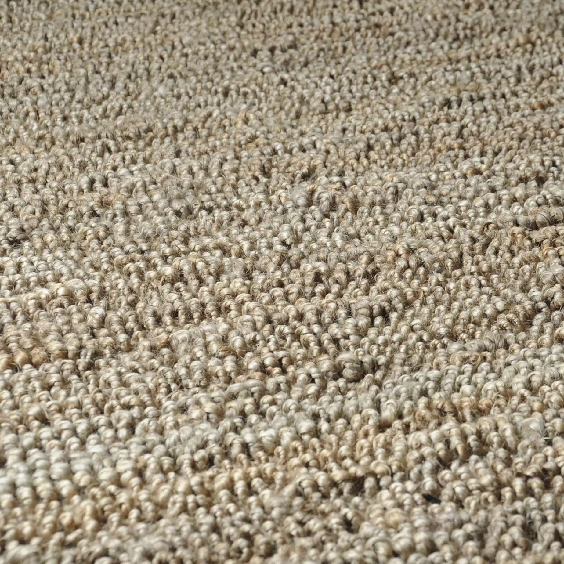 Glover Natural Braided Jute Carpet - Clearance by Boutique Rugs