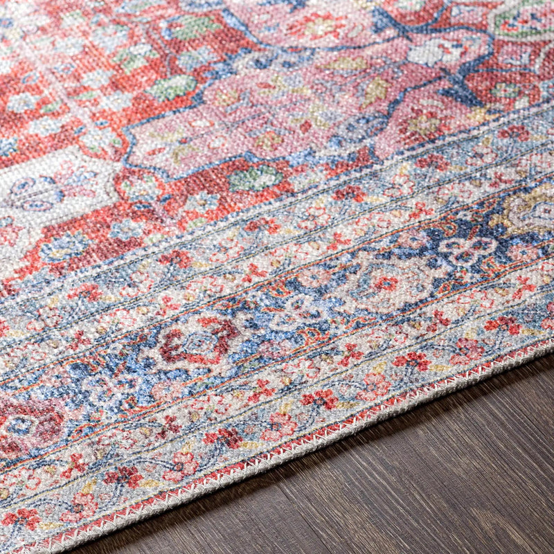 Rust Goma Vintage Area Rug - Clearance by Boutique Rugs