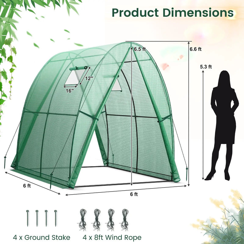 6 x 6 x 6.6 FT Outdoor Wall-in Tunnel Greenhouse by DirectDeals