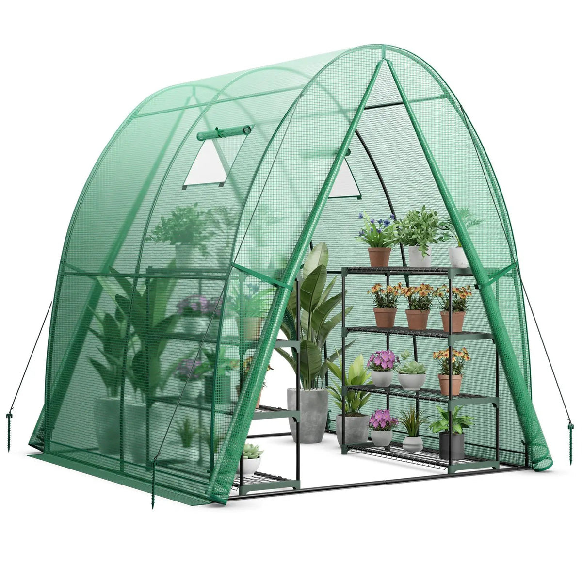 6 x 6 x 6.6 FT Outdoor Wall-in Tunnel Greenhouse by DirectDeals