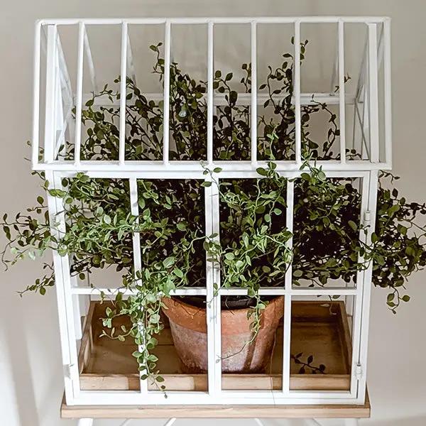 Greenhouse Inspired Outdoor Plant Stand by Decor Steals