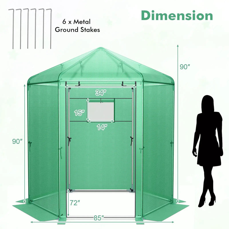 Walk-In Hexagonal Greenhouse with PE Cover and Metal Frame by DirectDeals