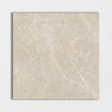 Gris Fawn Polished Marble Tiles 24x24