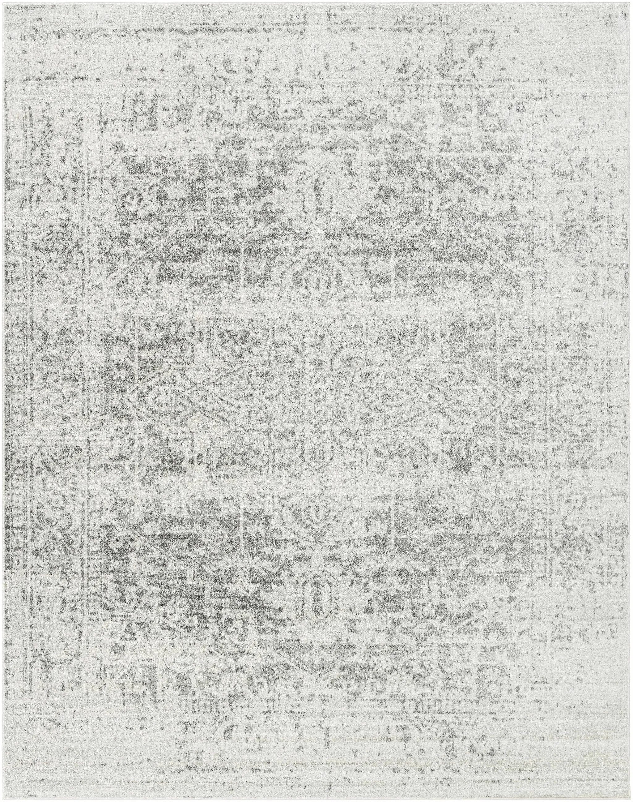 Rachel Area Rug by Hauteloom