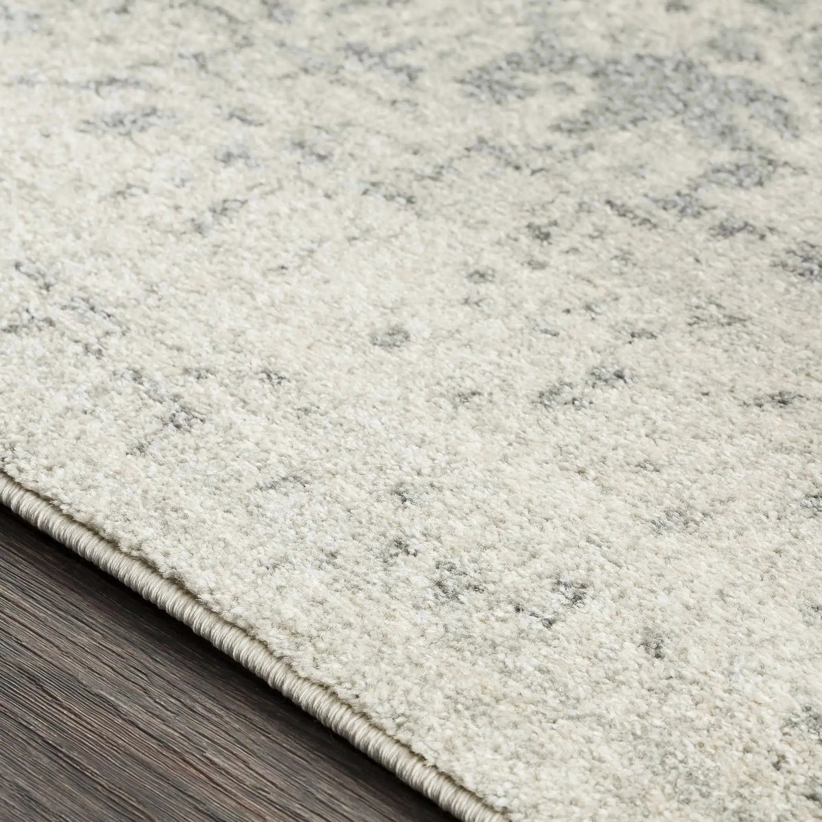 Rachel Area Rug by Hauteloom
