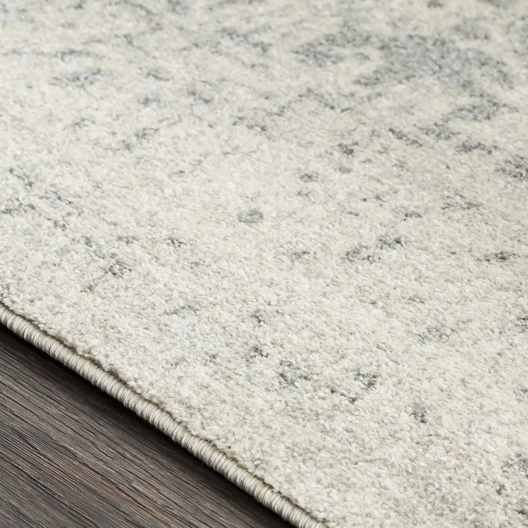 Rachel Area Rug by Hauteloom