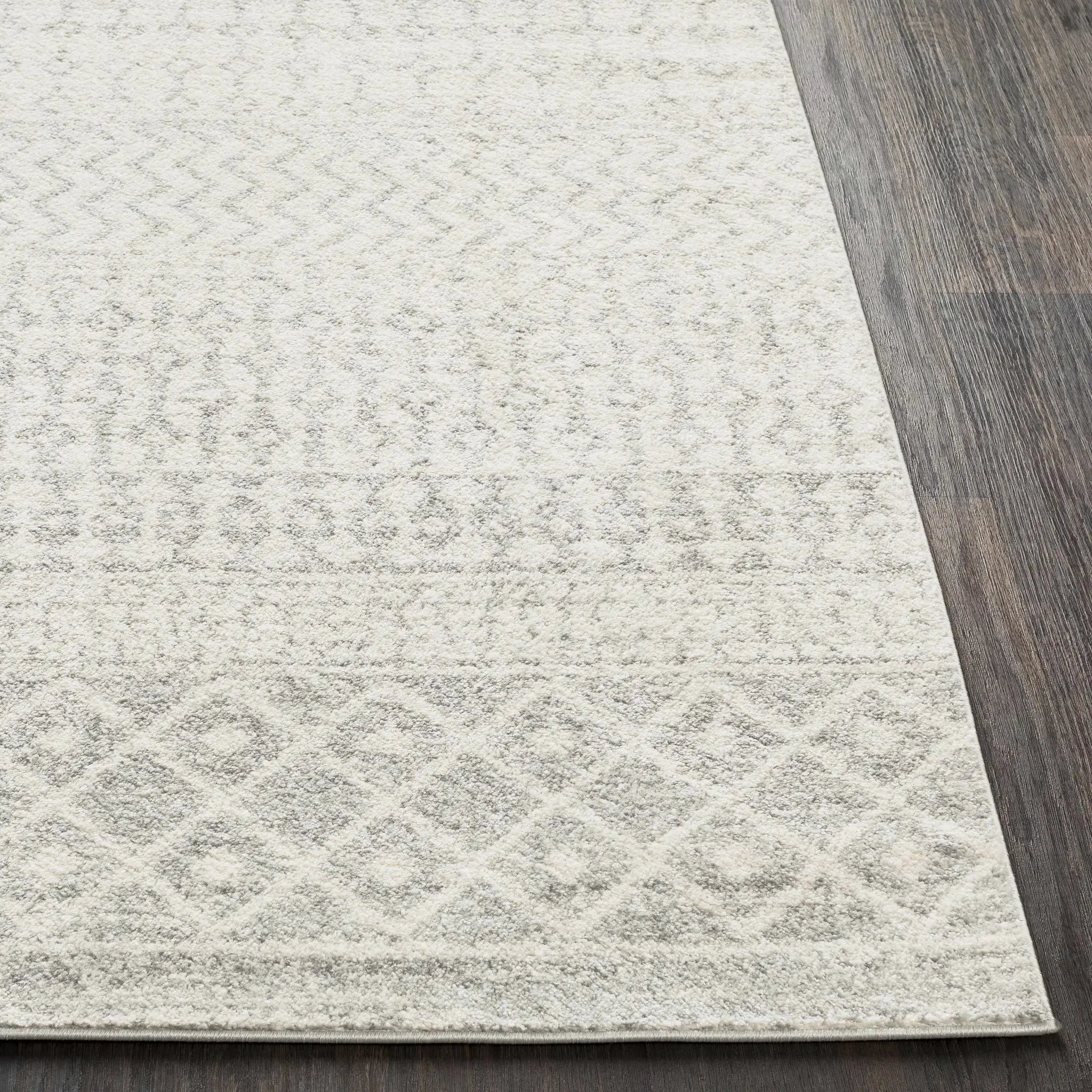 Constantin Gray Area Rug by Boutique Rugs