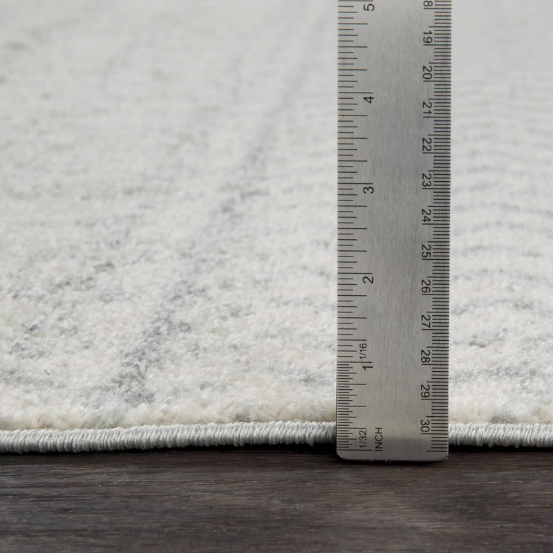 Constantin Gray Area Rug by Boutique Rugs