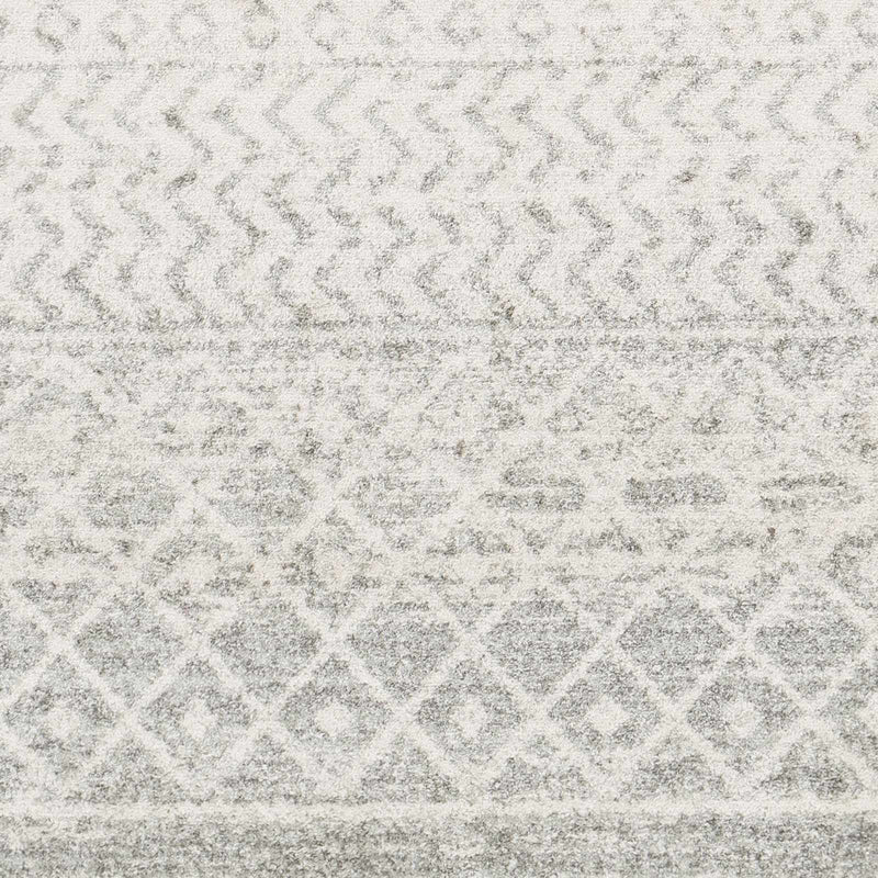 Constantin Gray Area Rug by Boutique Rugs