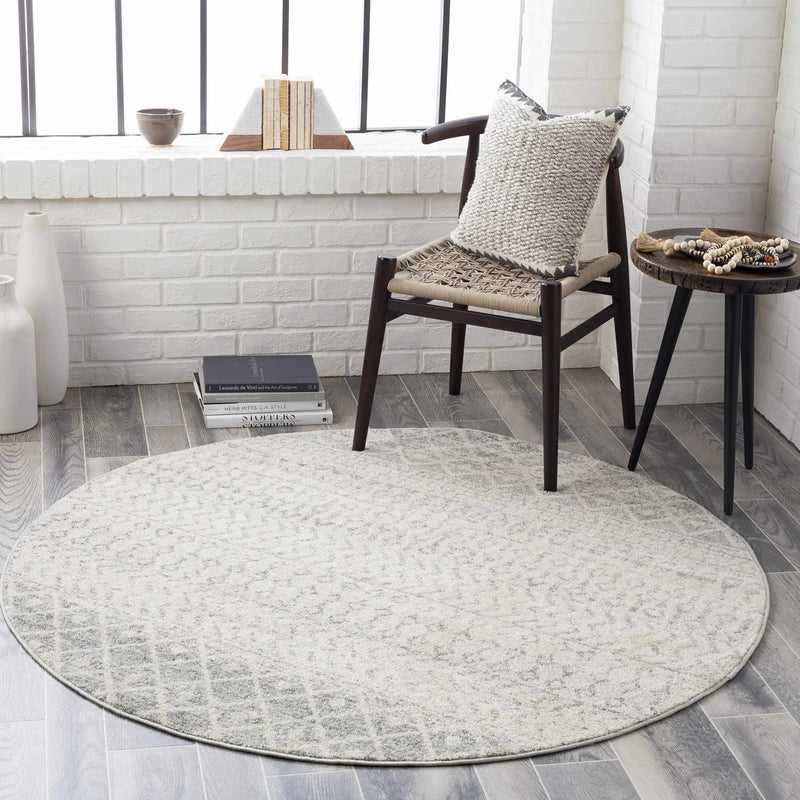 Constantin Gray Area Rug by Boutique Rugs