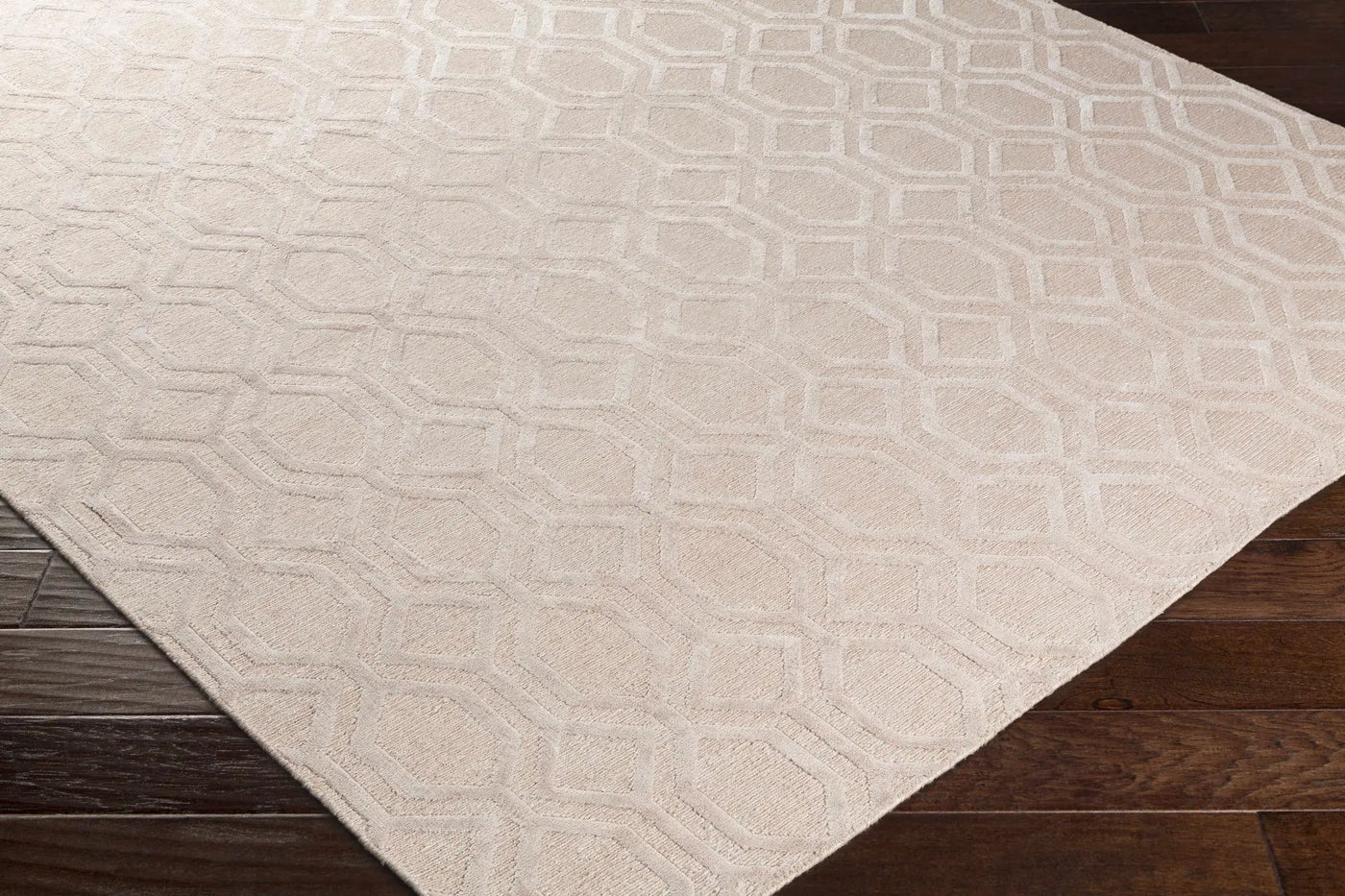 Haynes Area Rug - Clearance by Boutique Rugs