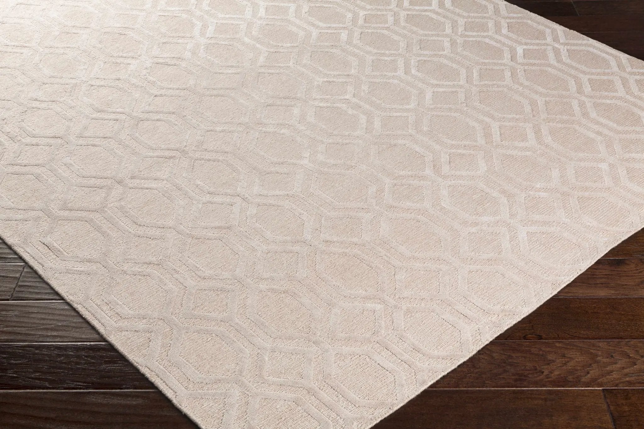 Haynes Area Rug - Clearance by Boutique Rugs