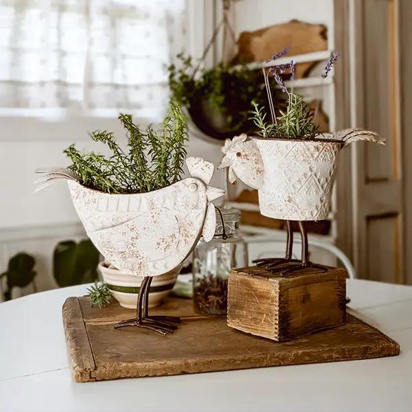 Indoor/Outdoor Distressed Hen Planter, Choose Your Style by Decor Steals