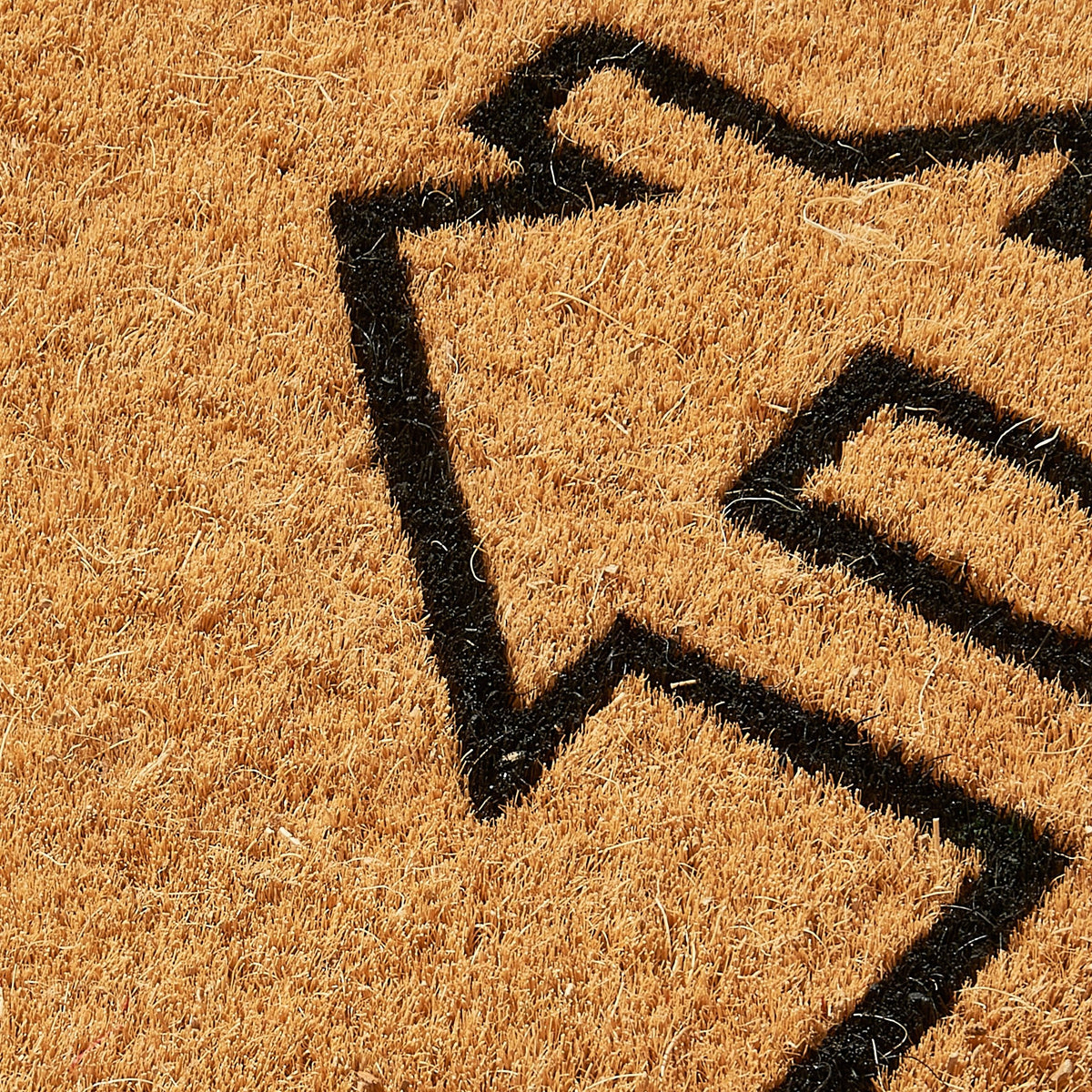 Home View - Natural Coir Doormat, detail