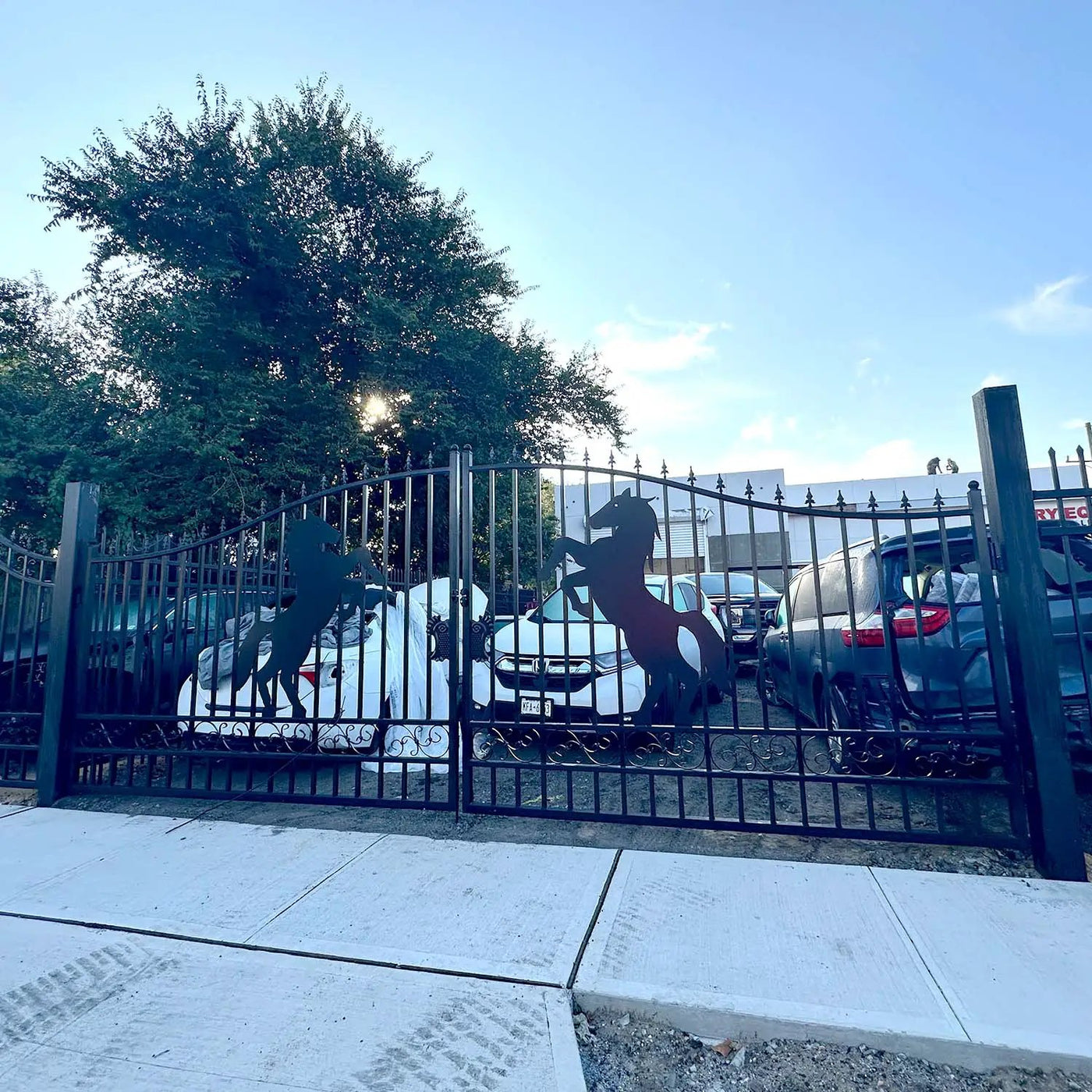 14x8 ft Steel Dual Swing Driveway Gate with Horse Pattern by Chery Industrial