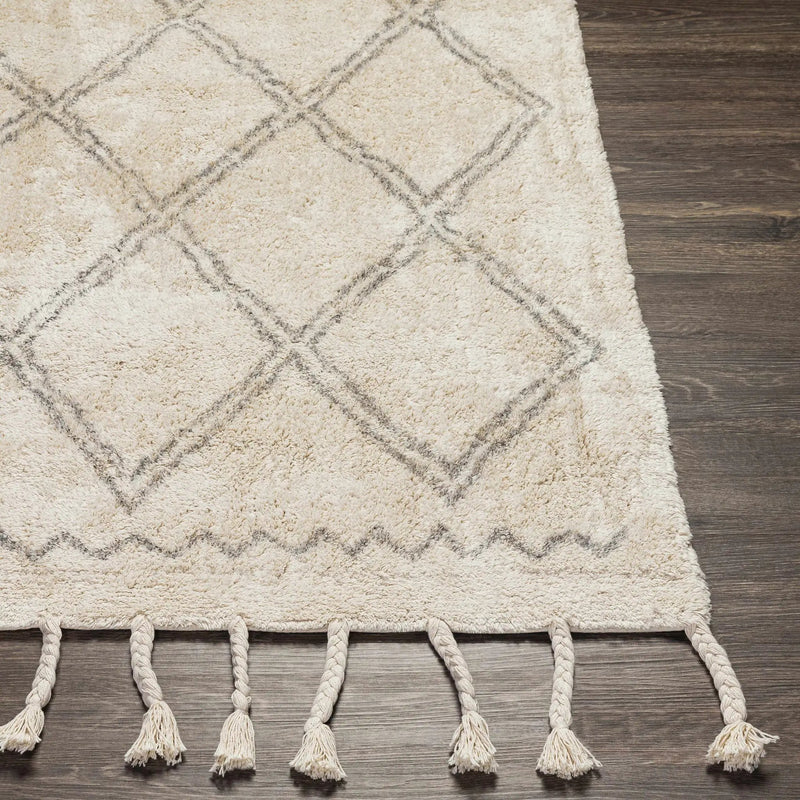 Harvester Area Carpet - Clearance by Boutique Rugs