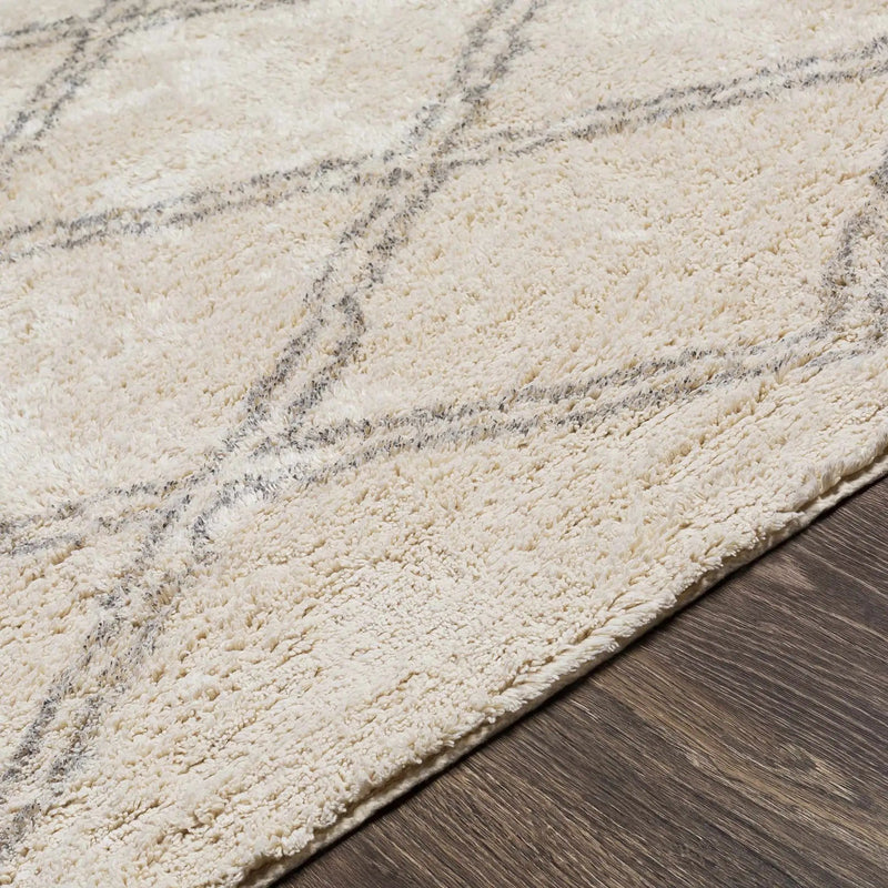 Harvester Area Carpet - Clearance by Boutique Rugs