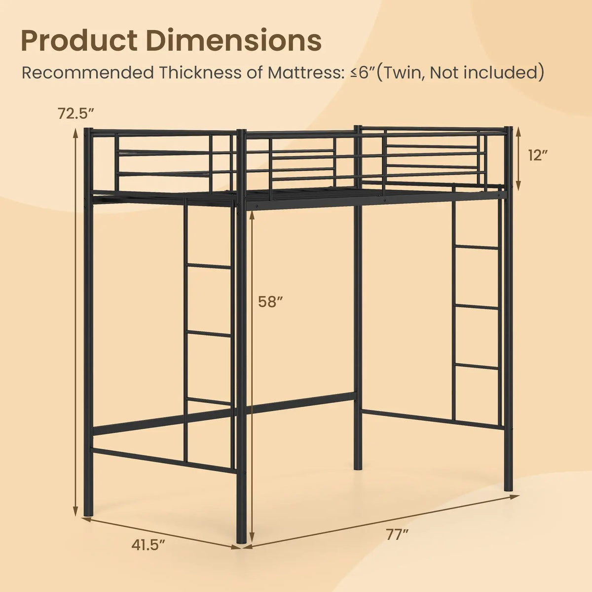 Twin Loft Bed Frame with 2 Ladders Full-length Guardrail by DirectDeals