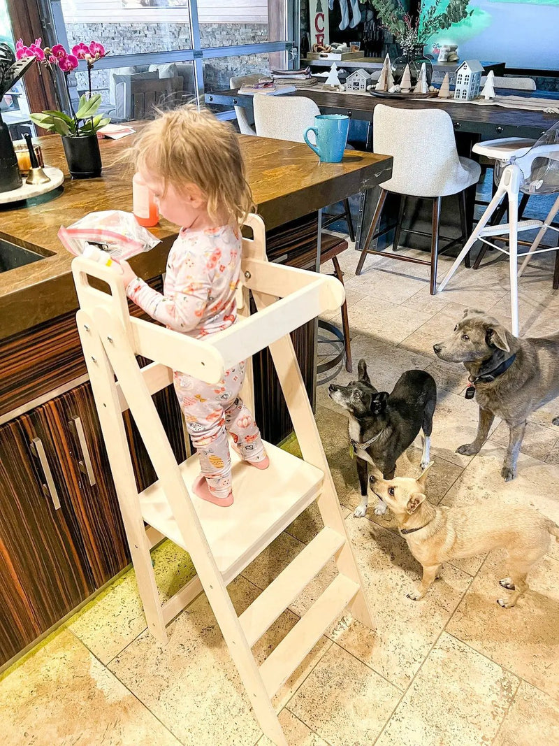 BLAZE- Collapsible Kitchen Stool by Bush Acres