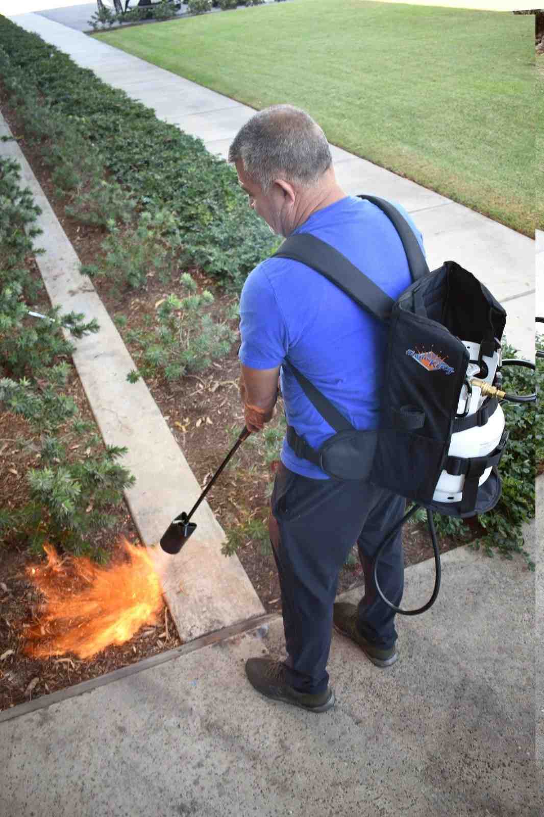 Flame King Propane Tank Backpack Carrier for 5lb or 10lb Cylinder For Weed Burner Torch by Flame King Products