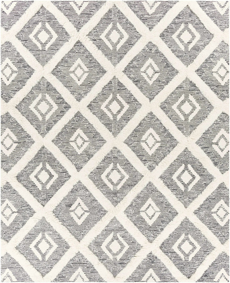 Imnaha Area Rug - Clearance by Boutique Rugs