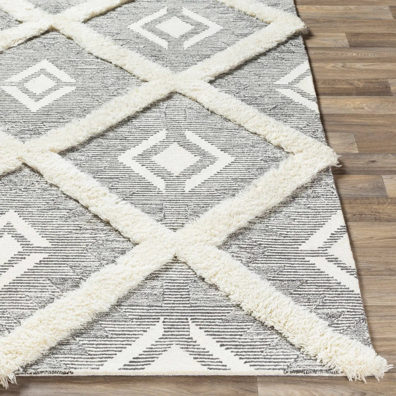 Imnaha Area Rug - Clearance by Boutique Rugs