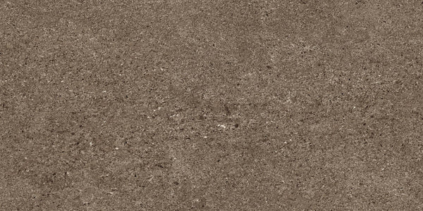 Infinity Earth Stone Look Porcelain Tiles 12x24